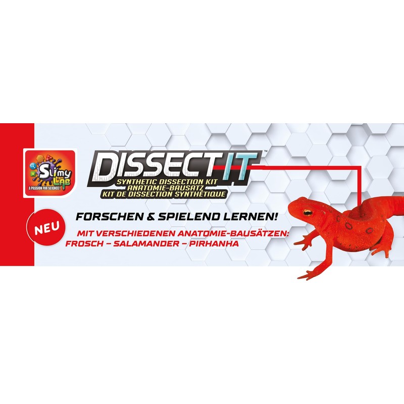 Slimy Original Lab Dissect-IT Salamander - Experiment & Research Dissecting