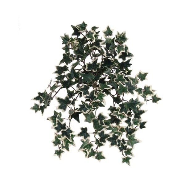 Larksilk Variegated English Ivy - Artificial Ivy for Hanging Basket,
