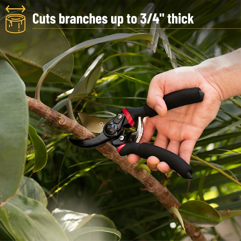 Mr. Pen- Pruning Shears, Garden Shears, 8" Professional, Titanium Blade,