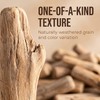 Craft Sticks, 20Pcs Mini Wood Log for Rustic Home Decor