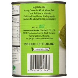 Young Green Jackfruit in Brine - Sliced (20 ounce)