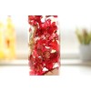 Hortus siccus Red Colors Series 紫陽花 Apples Gypsophila Herbarium