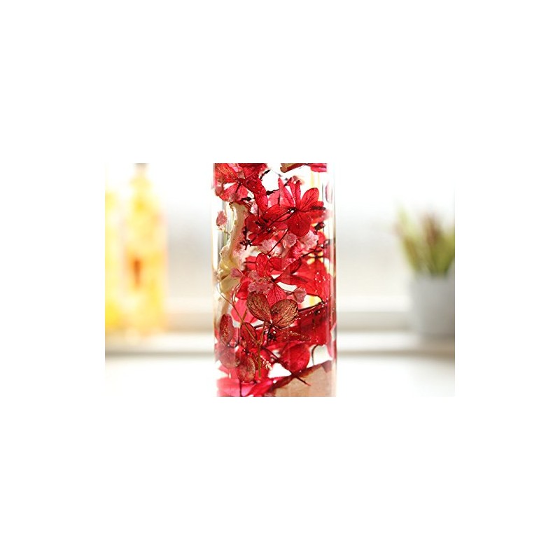 Hortus siccus Red Colors Series 紫陽花 Apples Gypsophila Herbarium