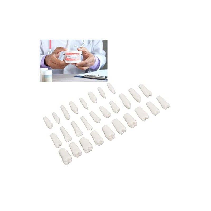 28 Piezas de Dientes Extraíbles, Diseño Extraíble de Plástico Duradero,