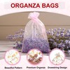 MECCANIXITY Organza Bag 4" x 6", Sheer Heart Mesh Bags