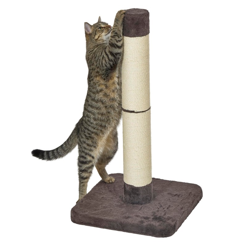 Feline Nuvo Medium, Forte Scratching Post- Brio