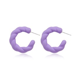 Colorful Twisted Rope Round Hoop Earrings Lightweight C Shape Acrylic Resin Earrings for Women Statement Fashion Geometric Earrings