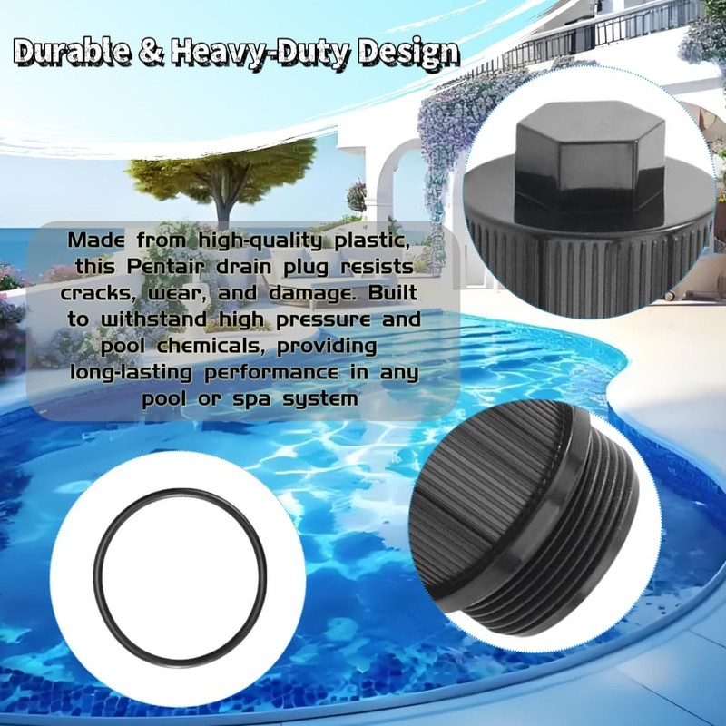 190030 Drain Plug Cap Compatible with Pentair Clean &Clear Plus,