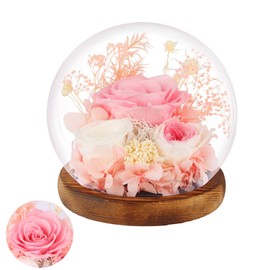 Preserved Roses Real Flowers in Glass Gifts for Women,Mom,Girlfriend,Grandma,Long-Lasting Eternal Roses with Led Lights,Flowers for Delivery Prime Valentines,Birthday,Mothers Day,Christmas(Pink)