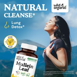 Wild & Organic Mullein Capsules 2000 mg - 4:1 Mullein Leaf Extract for Lungs - 90 Vegan Capsules - Herbal Cleanse & Detox - 90 Days of Supply - No Fillers, Non-GMO, Gluten-Free