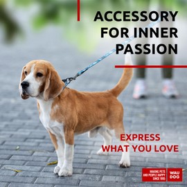 WAUDOG Nylon Dog Leash for Small Dogs and Medium Dogs 4 Ft - Strong Dog Leash for Large Dogs - Heavy Duty Dog Leashes for Large Breed Dogs & Puppy Leash for Small Boy & Girl Dogs