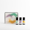 Lifestyle Blends Lifestyle Trio Essential Oil Set