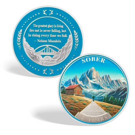CHURYUML 2 Year Sobriety Coin Two Year Nature Landscape Sober Chip Non-Religious AA Coins Recovery Medallions Sobriety Gifts for Women Men Alcoholics Anonymous Addiction Recovery Gift