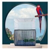 CAASFOOY 2 Pieces Rock Bird Cage Cover Bird Cage Net,