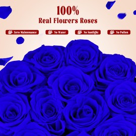 12 Flower Forever in Elegant Box, 100% Preserved Real Rose Last Up to 3 Years, Eternal Rose Preserved Flowers for Delivery Prime Valentines Mothers Anniversary Day Birthday Gifts for Women Wife (Blue)