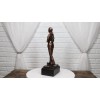 Medical Professional Physician Female Nurse Doctor Bronzed Resin Statue W/