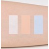 THE SAEM Cover Perfection Triple Pot Concealer - 06 Blue