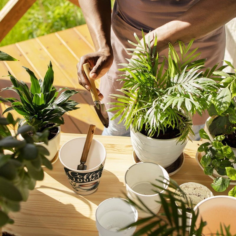 speecheese Coffee Lounge Flower Pot Perfect for Coffee and Tea