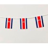 Pandiui23 Costa Rica Flag 40 Pack 35ft 5.5" x 8.25"