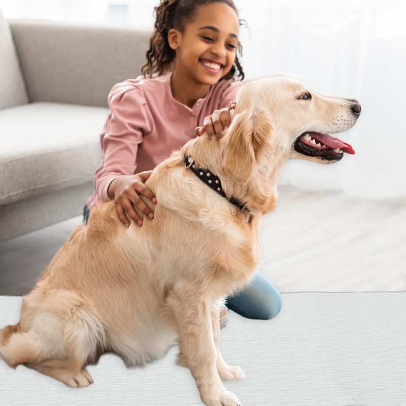 GLIDESMOOTH Dog Cooling Mat, Durable Machine Washable Pets Cool Pad,