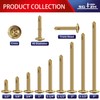 #8 x 2 Inch Sheet Metal Screws 250Pcs Bronze 410