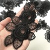 Qililandiy Black Mixed Style Embroidery Lace Flower and Butterfly Patches