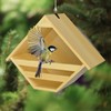 Nalwort Dove Nesting Box, Solid Wood Mourning Dove Nesting Box,