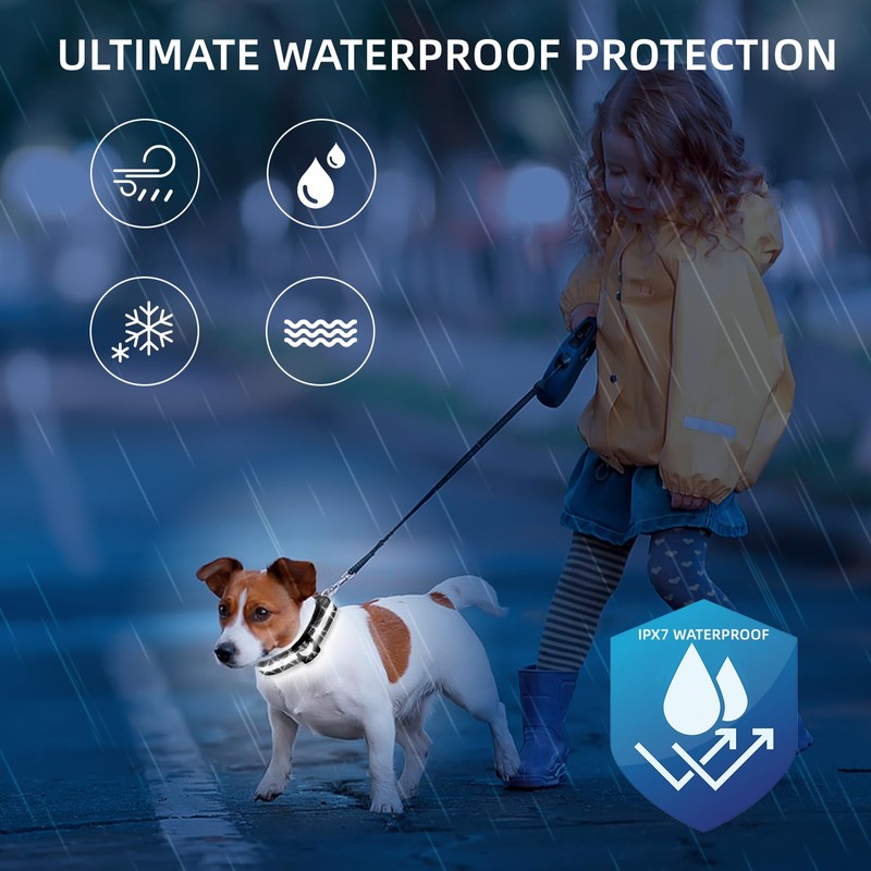 Super Bright LED Dog Collar - Fully Waterproof & Adjustable