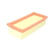 FILTRON AP013 AIR FILTER