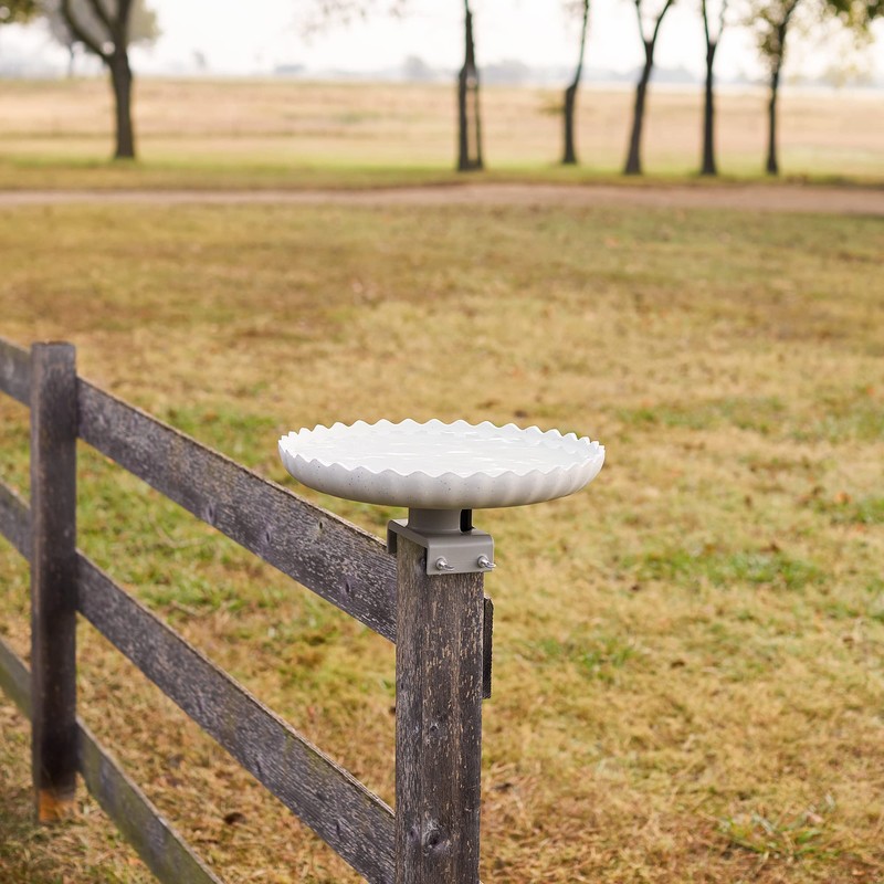 Farm Innovators Heated Bird Bath, 120W All Seasons Outdoor Decor