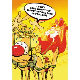 Christmas Cards Multi-pack, 10 Funny Multi-pack Christmas Cards, 2 Different Designs, Pack of 10 Multi-pack Christmas Card, Funny Christmas Cards, Funny Christmas Cards Pack, Rude Christmas Cards Pack