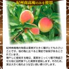 Ume no Ichifuji Kishu Nankoume Plum Trial Set (2.1 oz
