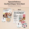 The Honest Company Clean Conscious Diapers for Delicate Skin |