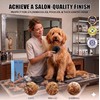 Large 3 in 1 Long Pin Dog Slicker Grooming Brush