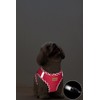 Aiminto Denim Dog Harness & Leash Set, Breathable Mesh, Lightweight,