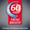 Dentyne Ice Arctic Chill Sugar Free Gum, 9 Packs of