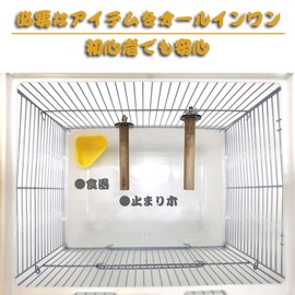 IYOIYA Bird Carrying Case, Moving, Parakeet, Carrier, Outing, Carry Cage, Acrylic, Cage, Perch, Bait, Sekisei, Small Bird, Cage, Birdcage, Bird Palace, Hospital, Sunbathing, Bird Carry