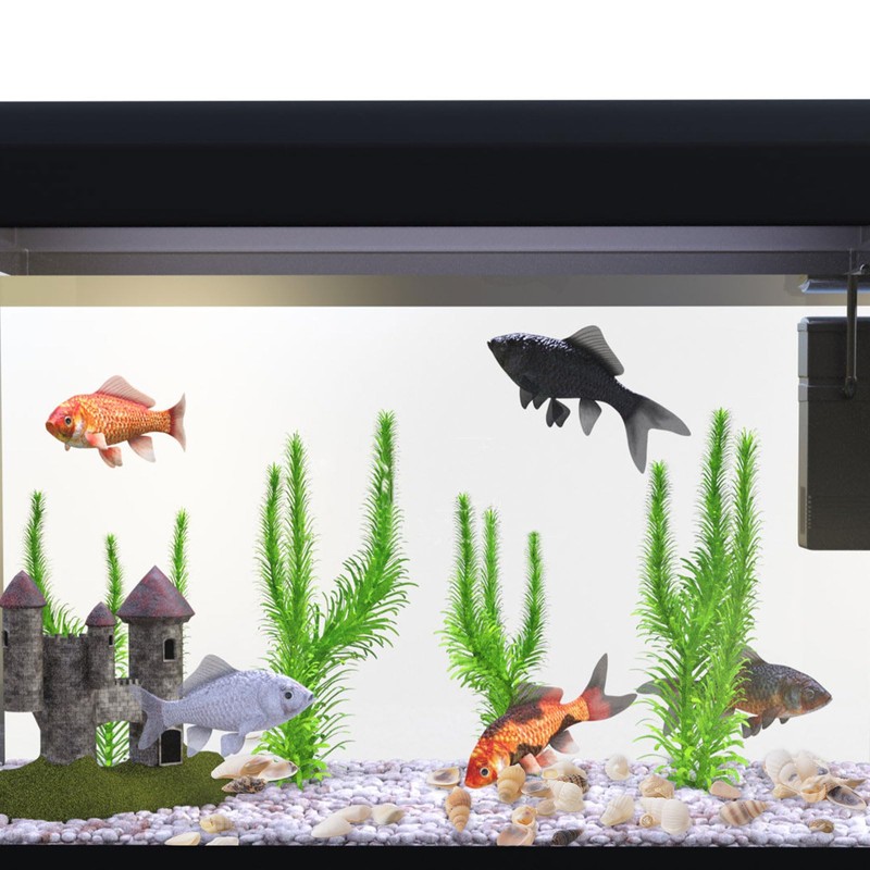 WANDIC Conchs and Seashells, Pack of 250 Grams Mixed Natural