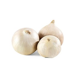 Elephant Garlic Rounds (Ajo Macho) Great for Fall Planting! (2 LB)
