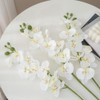 XZJMY 27.5" Artificial Phalaenopsis Flowers,Fake Orchid Stems,Faux Silk White Orchids