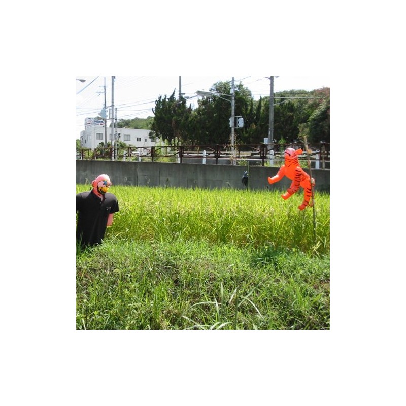 Ryuhomaru Bird and Beast Repelling Tiger No. K-002