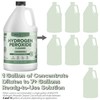 MAXTITE MAXTITE Ultra-Concentrated Hydrogen Peroxide Cleaner - Eucalyptus Scent, 1