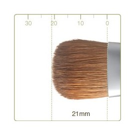 Kumano Brush (Cosmetic Brush) Takehodo Regular Series Liquid Brush Weasel RR-LQ2 Red Line Makeup Brush