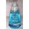 Fresh Bath & Beauty Foaming Hand Wash Fresh Scent 1ea