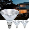 PAR38 Halogen Flood Light Bulbs 2 Pcs, 80W Equivalent, 120V,