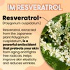 IM Resveratrol Antioxidant Formula with Magnesium & Lemongrass – Supports
