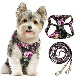 TEWIWAP XXS Dog Harness, No Pull Puppy Harness and Leash Set for Extra Small Dogs, Adjustable Step in Pet Cats Dogs Vest with Cute Bowtie for Walking, Running, Training