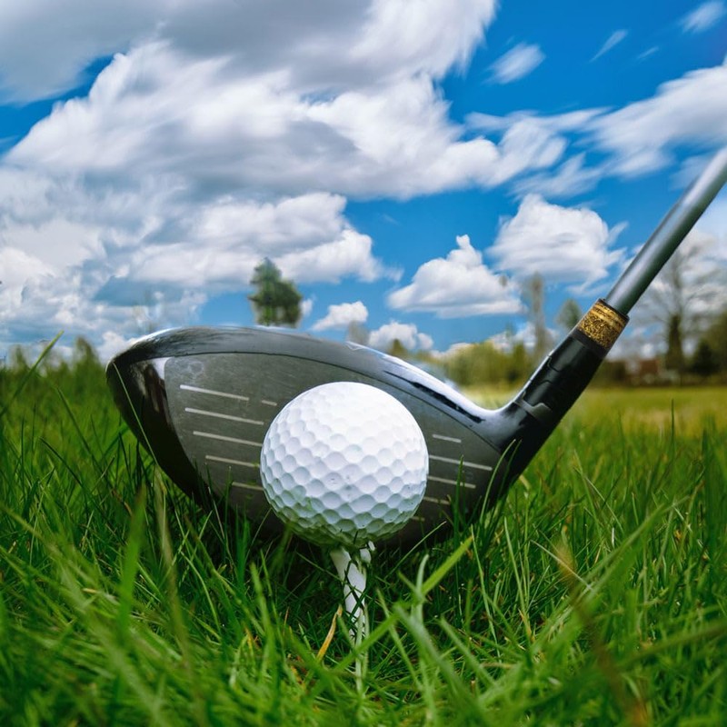 MiOYOOW 5/10PCS Golf Iron Ferrules, Gold/Silver Golf Tapered Ferrules Rubber