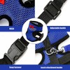 Chicken Harness and Leash Set，Black M