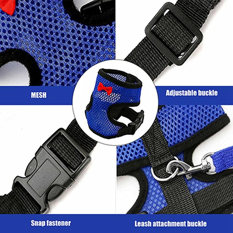 Chicken Harness and Leash Set，Black M